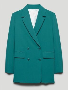 Aritzia Wilfred Charelle Blazer (oversized fit)